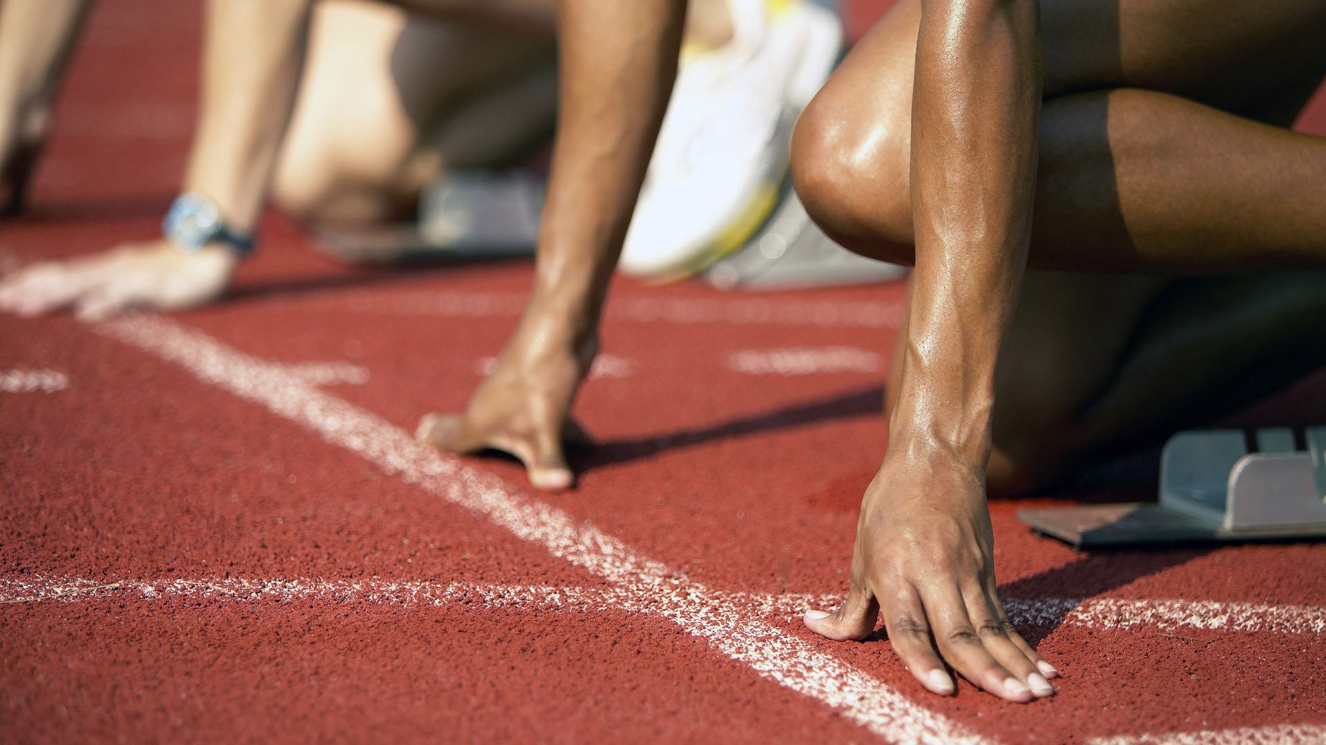 世界杯场外花絮 失恋球迷赛场求婚上演反转剧情