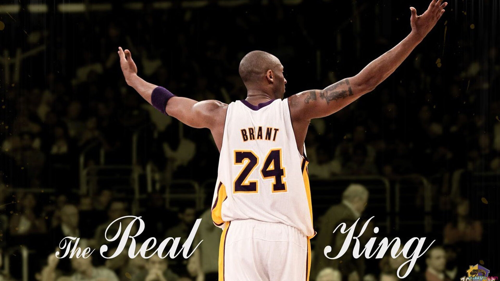 篮球比赛关键技术数据统计